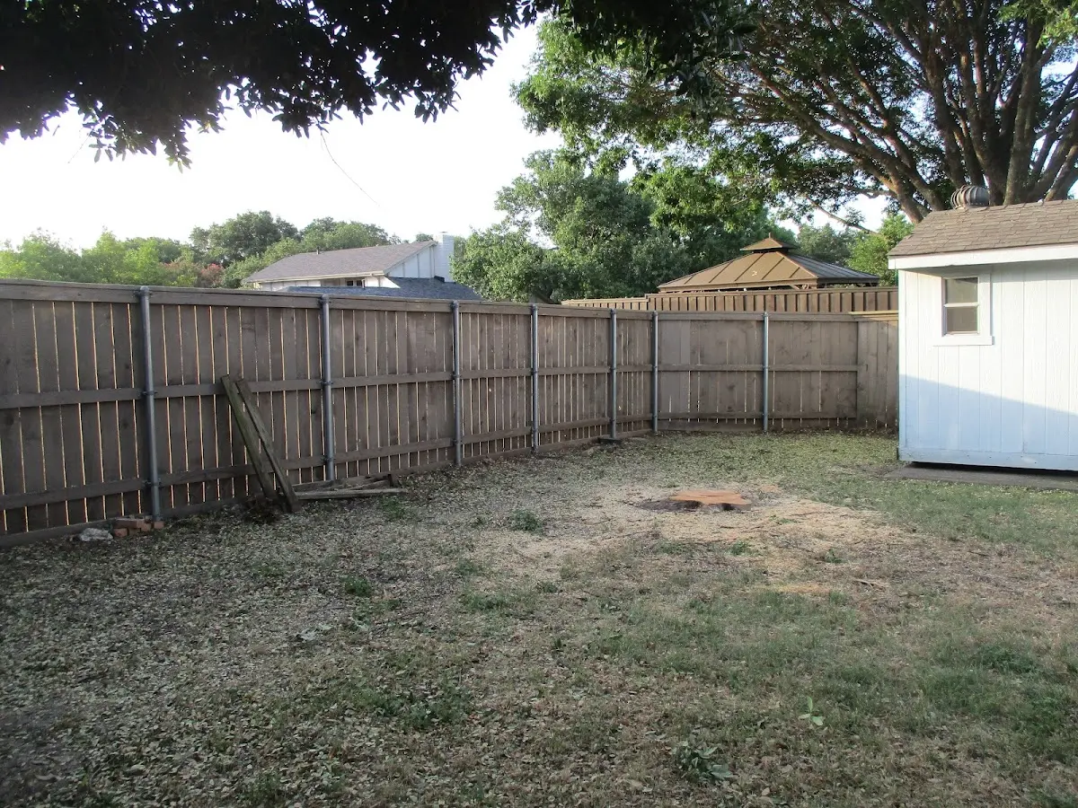 Cleared yard after professional tree removal in Springer